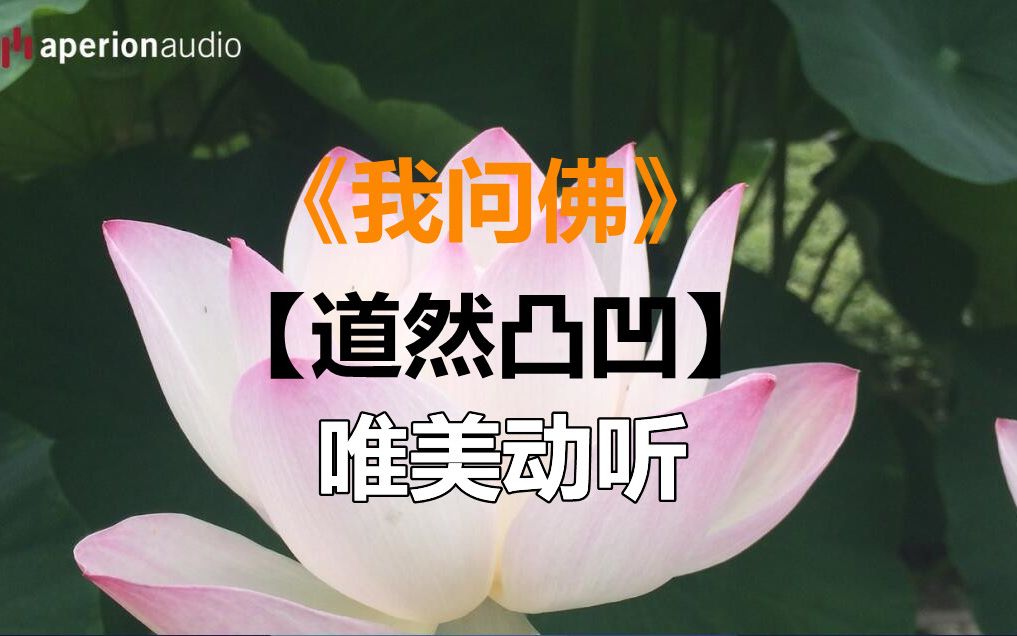 《我问佛》【道然凸凹】唯美动听_哔哩哔哩_bilibili