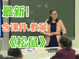 Download Video: 《松鼠》公开课优质课【赛课一等奖】（含课件.教案）