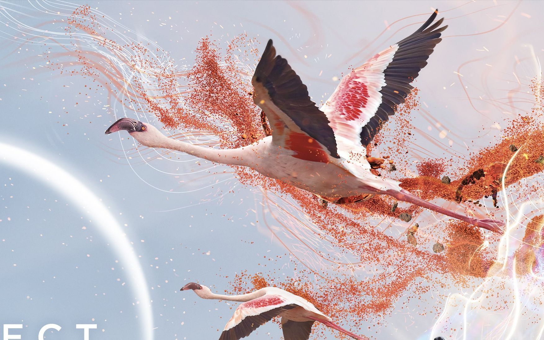 被捧上神坛的史诗级震撼神作,每一帧都是绝美壁纸,豆瓣9.6都给低了