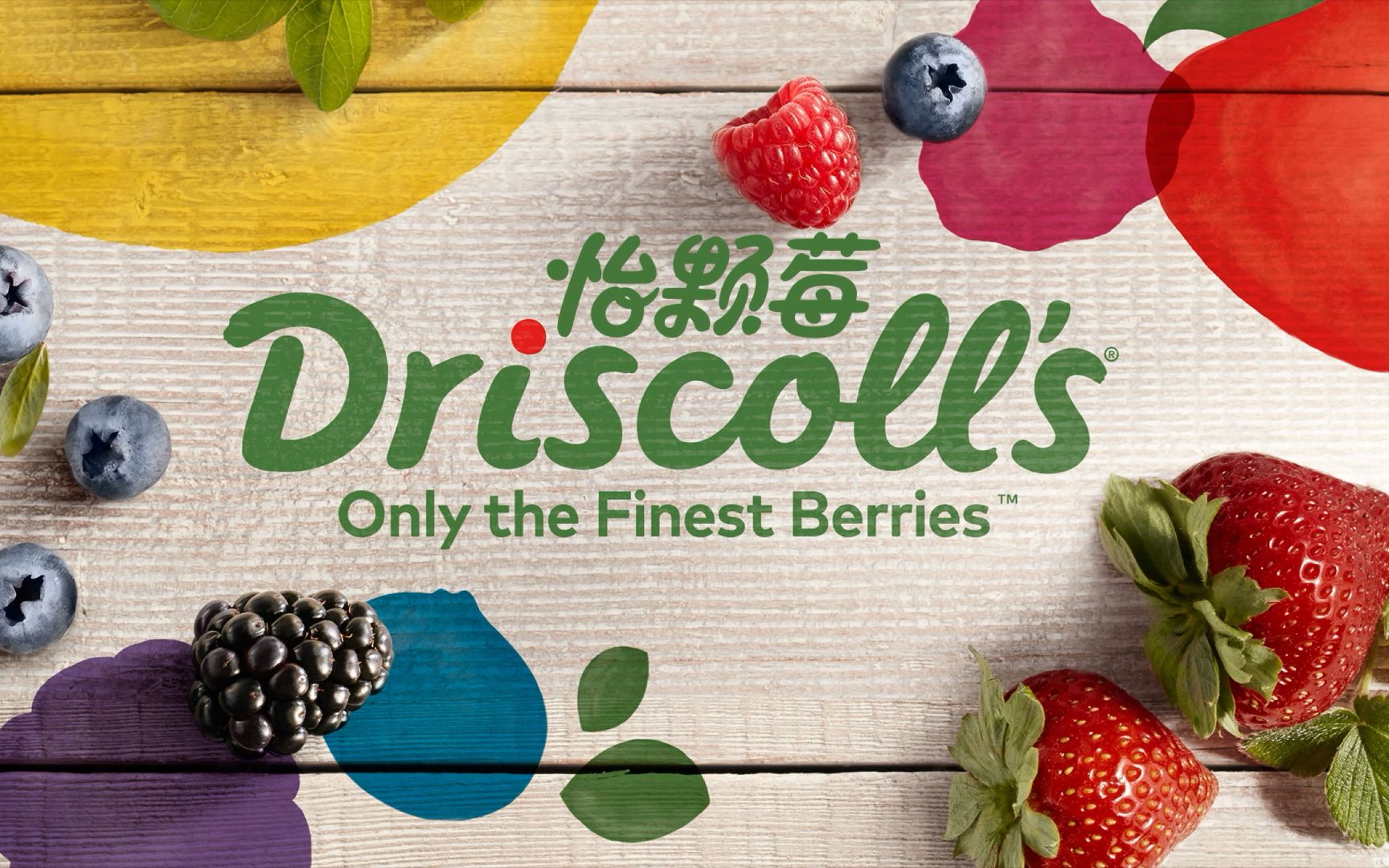 Driscoll's怡颗莓丨来自加州百年的味道哔哩哔哩bilibili