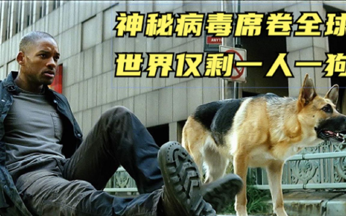 《我是传奇》神秘病毒席卷全球 世界仅剩一人一狗_哔哩哔哩_bilibili