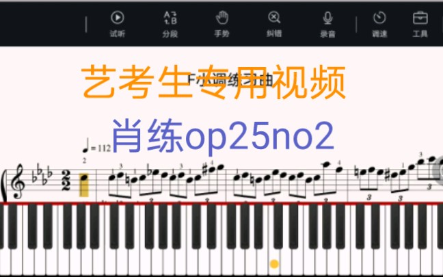 [图]肖邦练习曲op25no2慢速