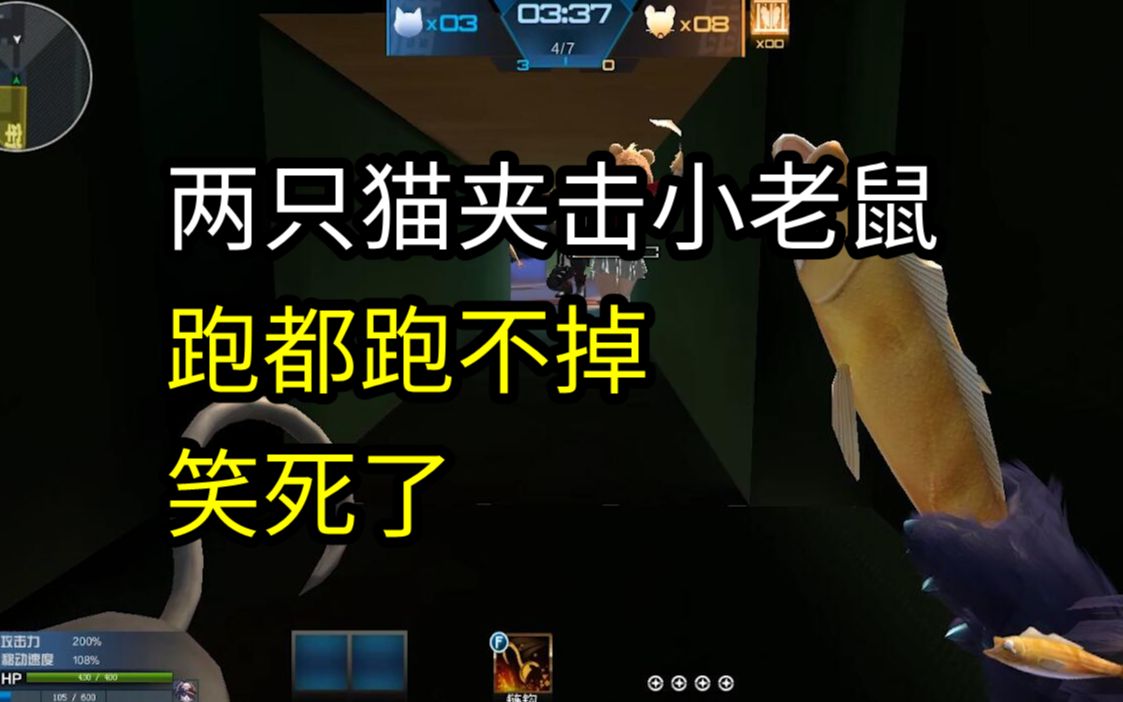 逆战猫鼠大战两只猫夹击小老鼠跑都跑不掉笑死了