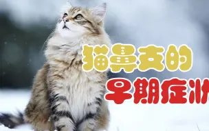 Tải video: 猫鼻支的早期症状