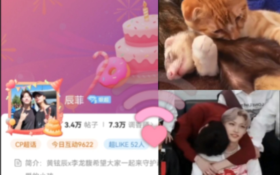 辰菲34 “超话4周年了”哔哩哔哩bilibili