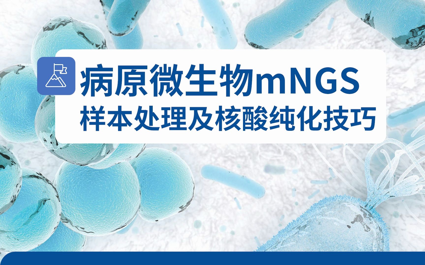 病原微生物mNGS样本处理及核酸纯化技巧哔哩哔哩bilibili