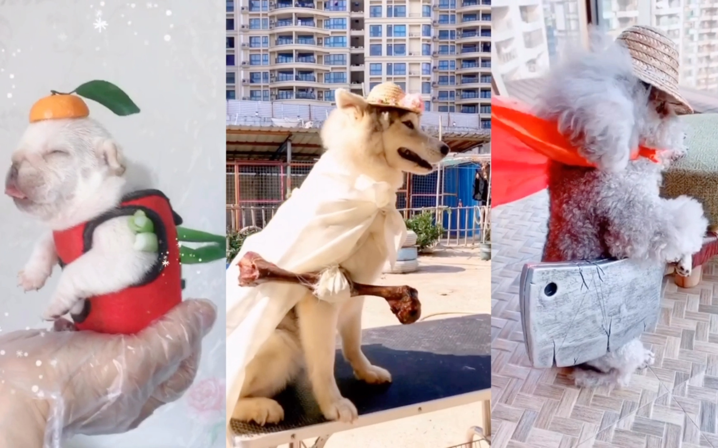 每个人心中都有一个武侠梦,来看看脑洞大开的武侠style_哔哩哔哩_bili