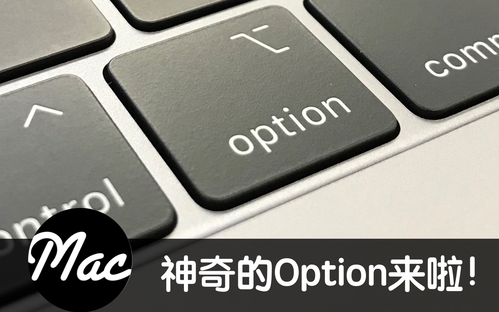 【Mac入门教程】 快捷键(3/3)这么神奇的 Option,了解一下?哔哩哔哩bilibili