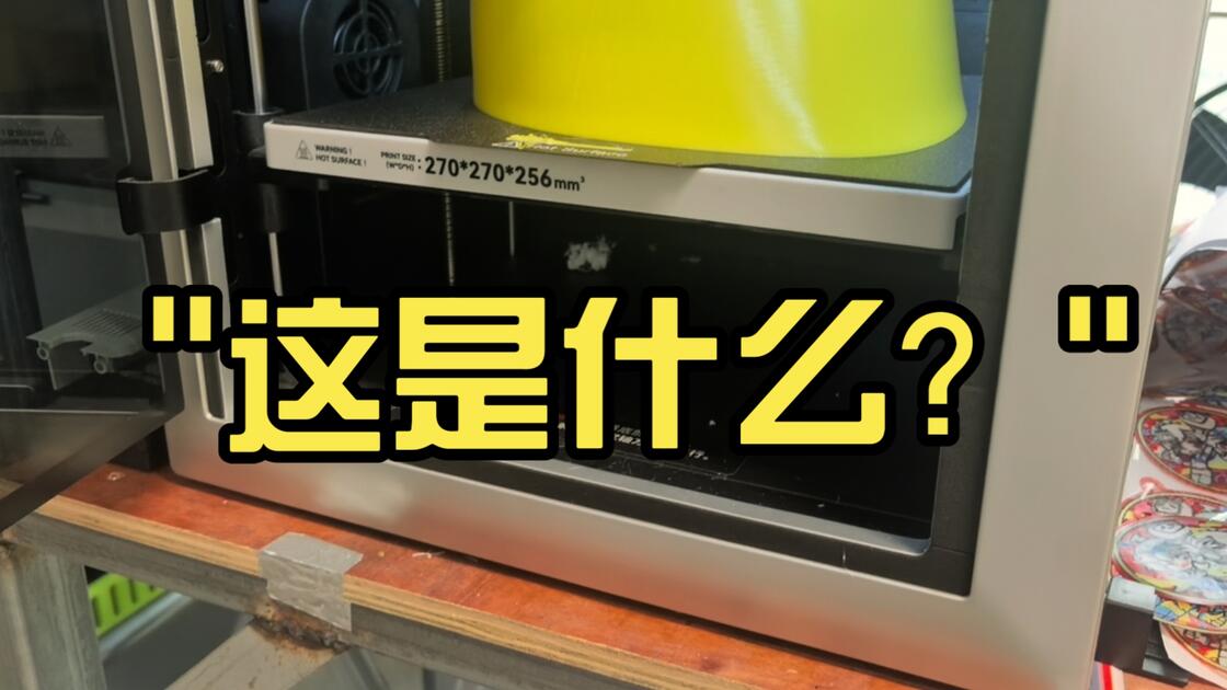 这是什么？_哔哩哔哩_bilibili