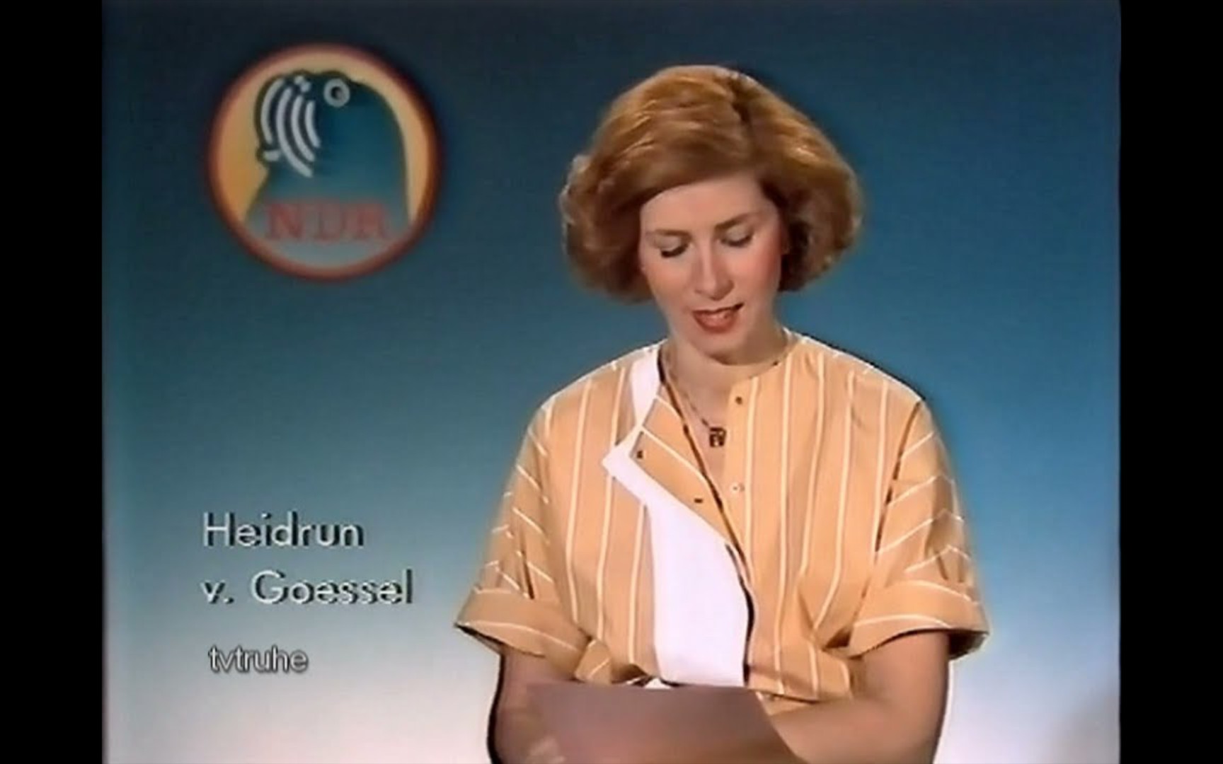 放送文化广播电视联邦德国西德电视一台ard节目预告19850628