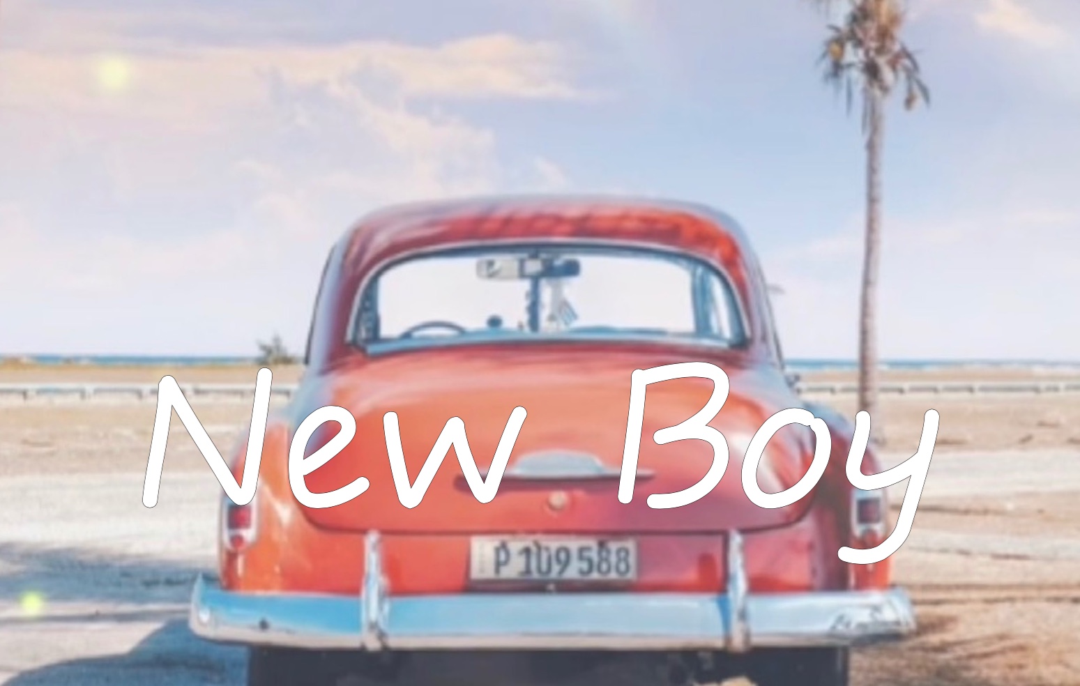 31岳天琦newboymp4