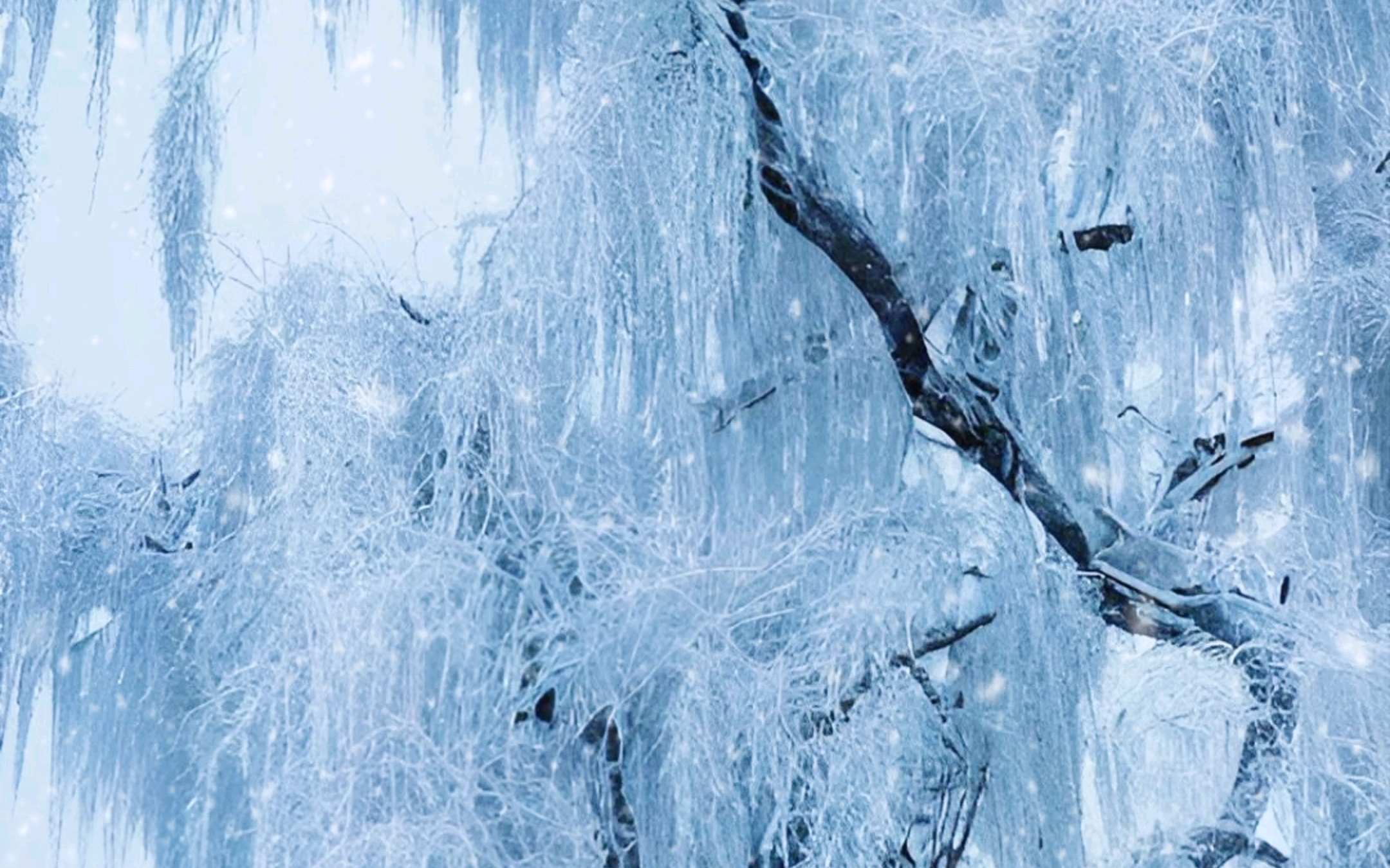 [图]假若我是一朵雪花翩翩的在半空里潇洒我一定认清我的方向飞扬飞扬飞扬这地面上有我的方向——徐志摩 《雪花的快乐》