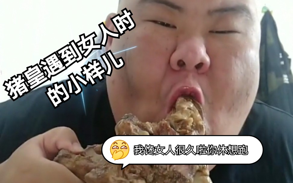 快手猪皇日常进食小茹窝在猪圈