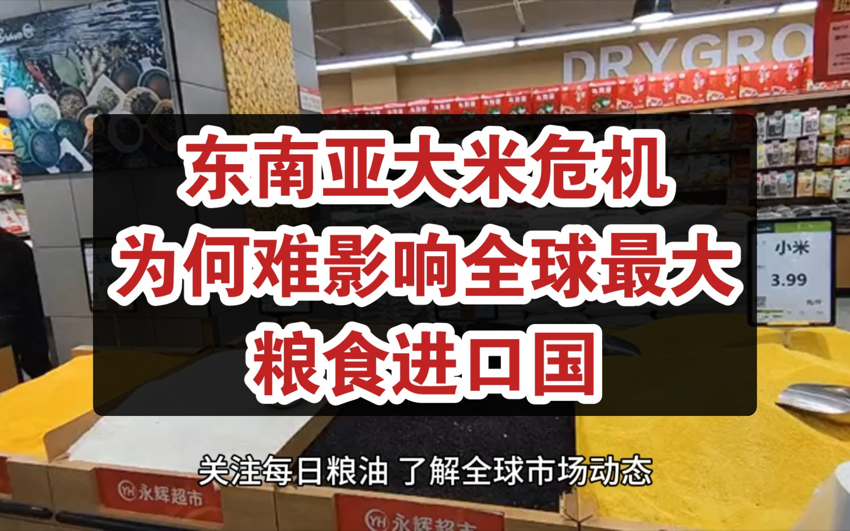 打破你的认知:东南亚大米危机缘何难影响全球最大的粮食进口国;赶在新粮上市前 时隔三周我国买家再度装运美国玉米哔哩哔哩bilibili