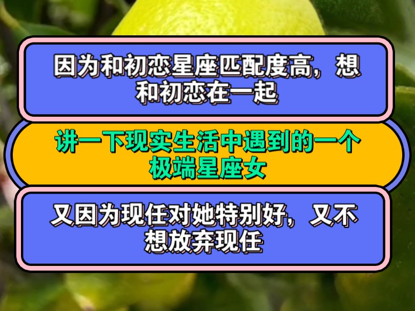 周雨彤:狮子座傻白甜,射手座必须别人顺着他们.哔哩哔哩bilibili