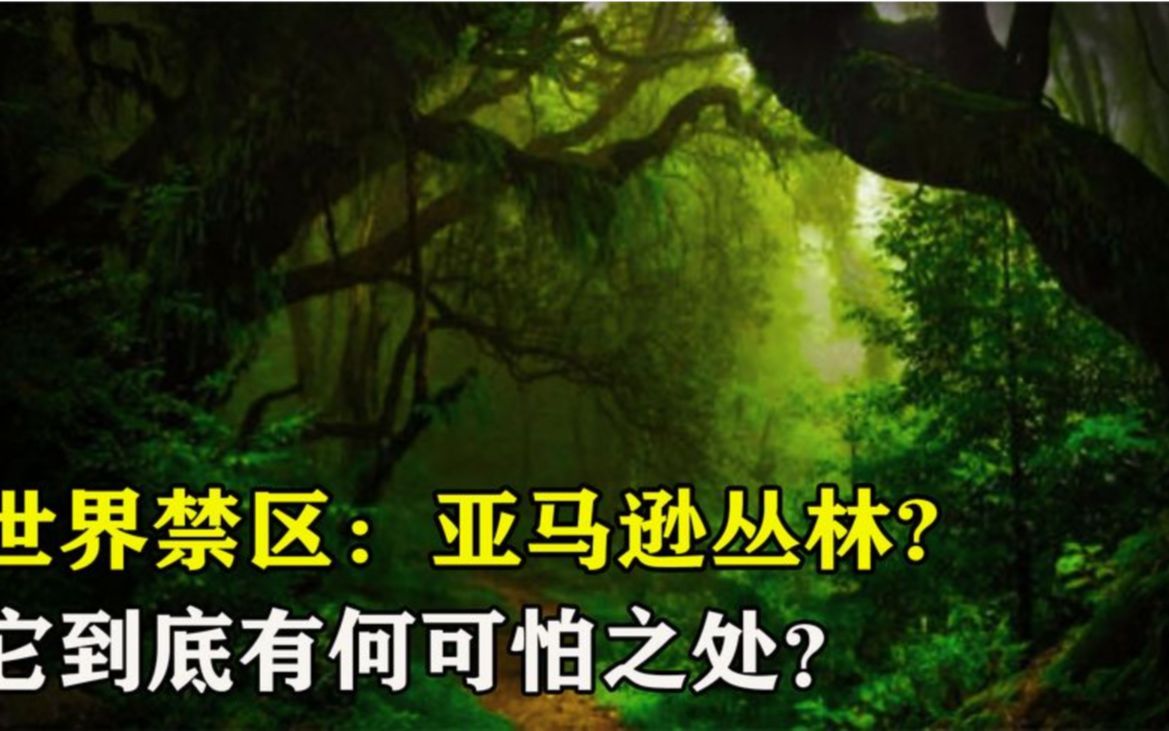 世界禁区:亚马逊丛林为什么是人类禁区?它的可怕之处在哪里?哔哩哔哩bilibili