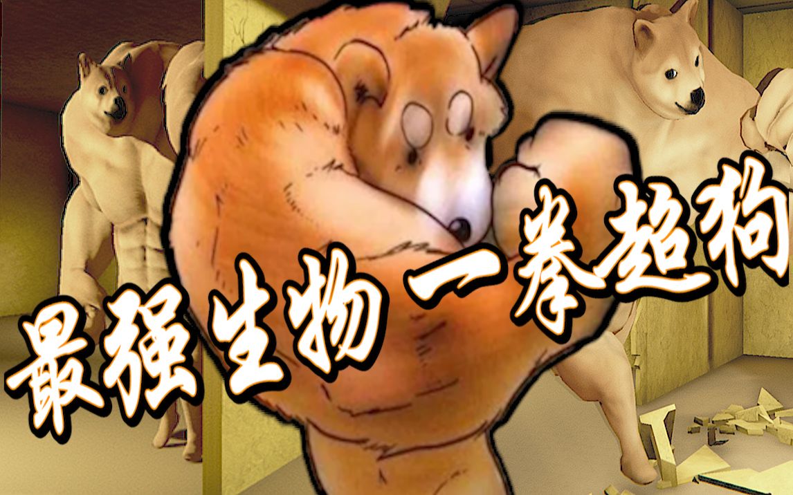 外国都市传说,存在于后室的肌肉猛狗《backrooms》《buff doge》