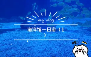 Descargar video: 今天来石家庄海洋公园