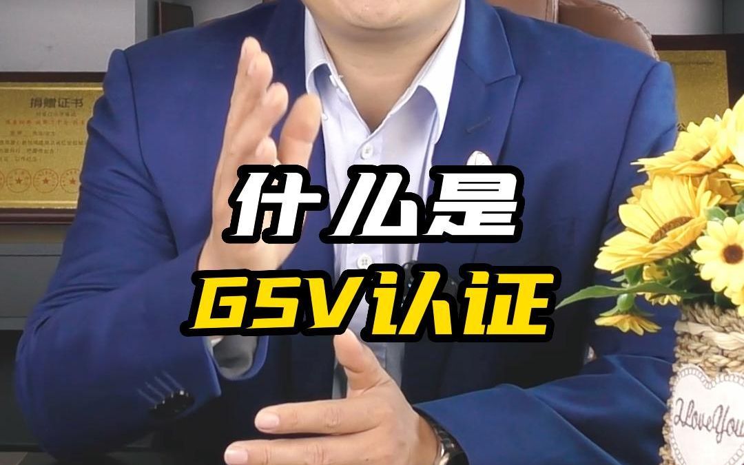 什么是GSV认证?哔哩哔哩bilibili