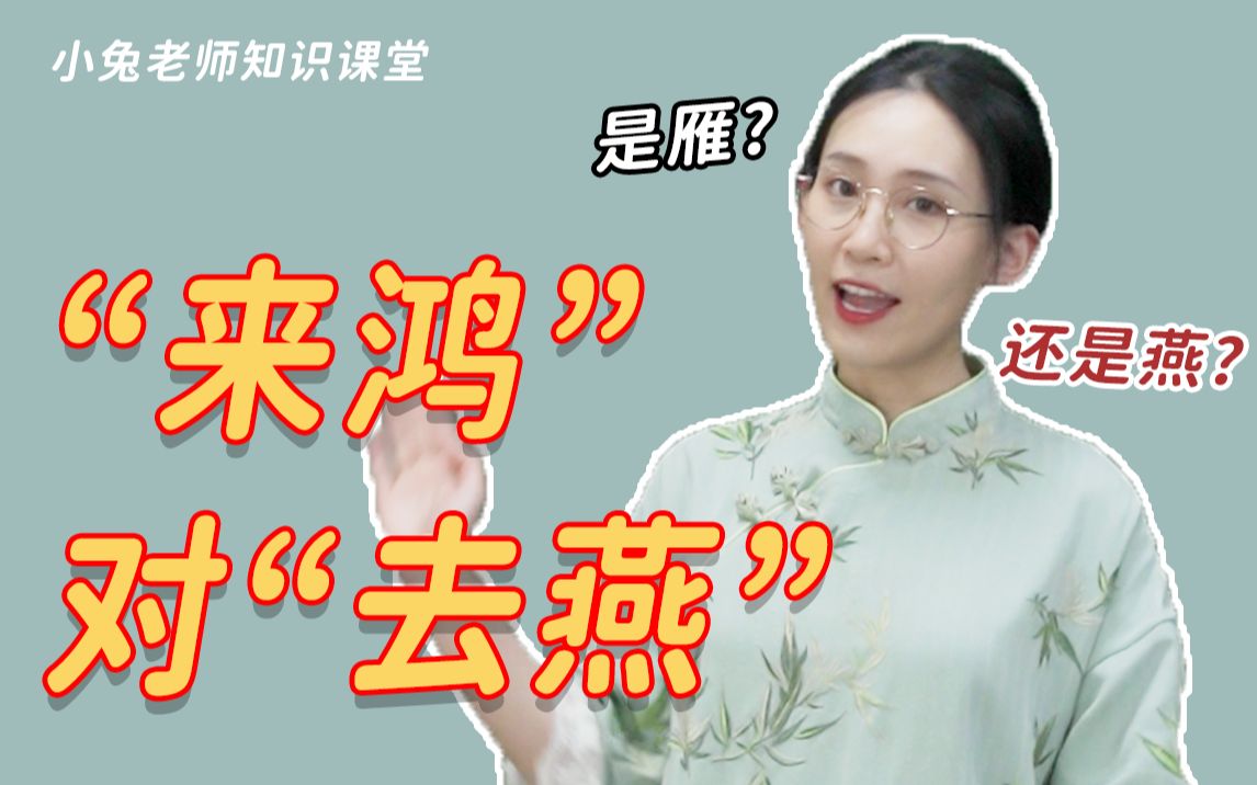 “来鸿”不能对“去雁”?哔哩哔哩bilibili