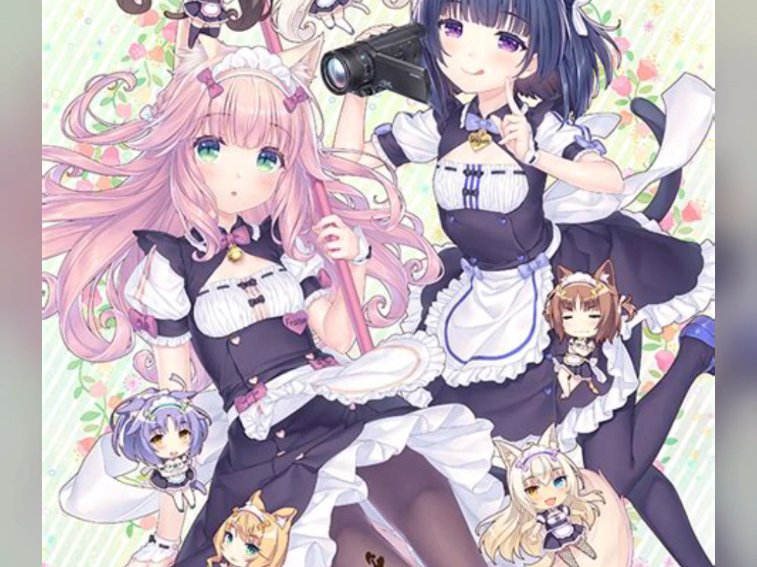 [图]新消息！nekopara after （猫娘乐园后传）将于年底发布！