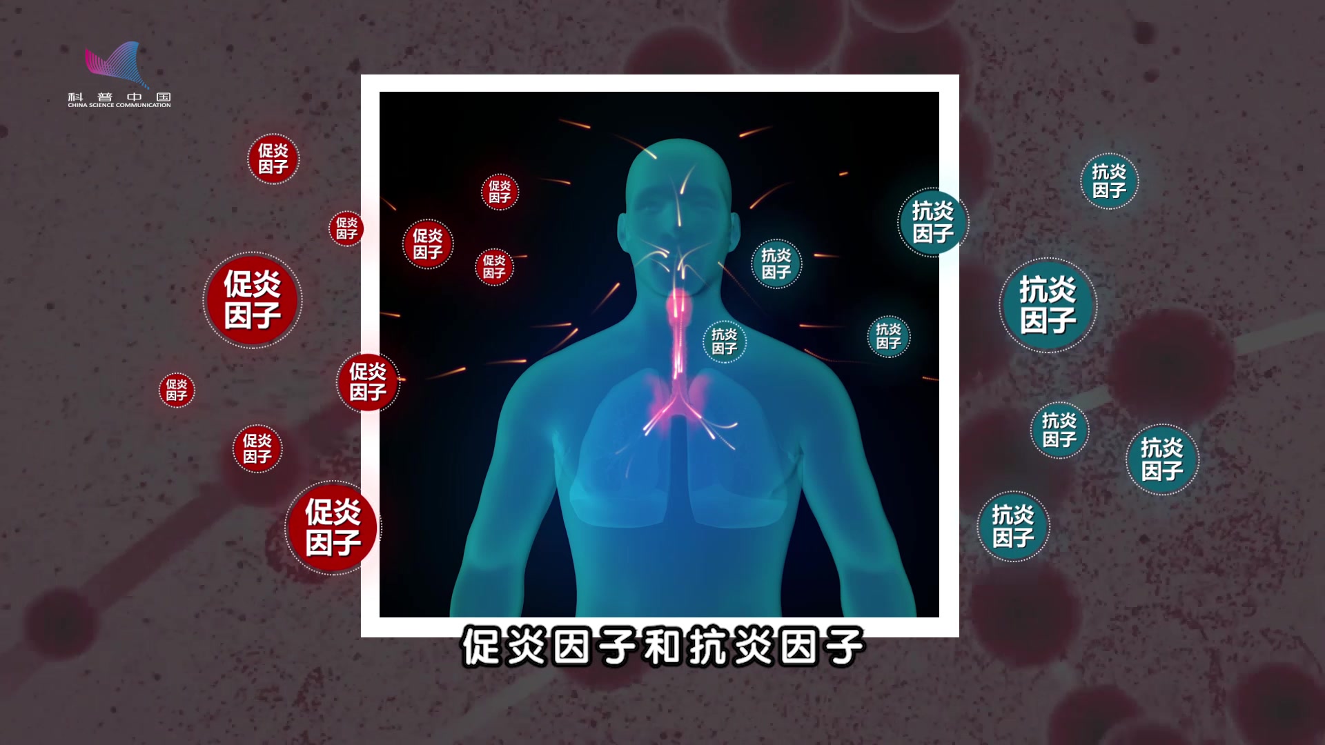 活动作品炎症风暴人体免疫系统是怎样反噬自身的