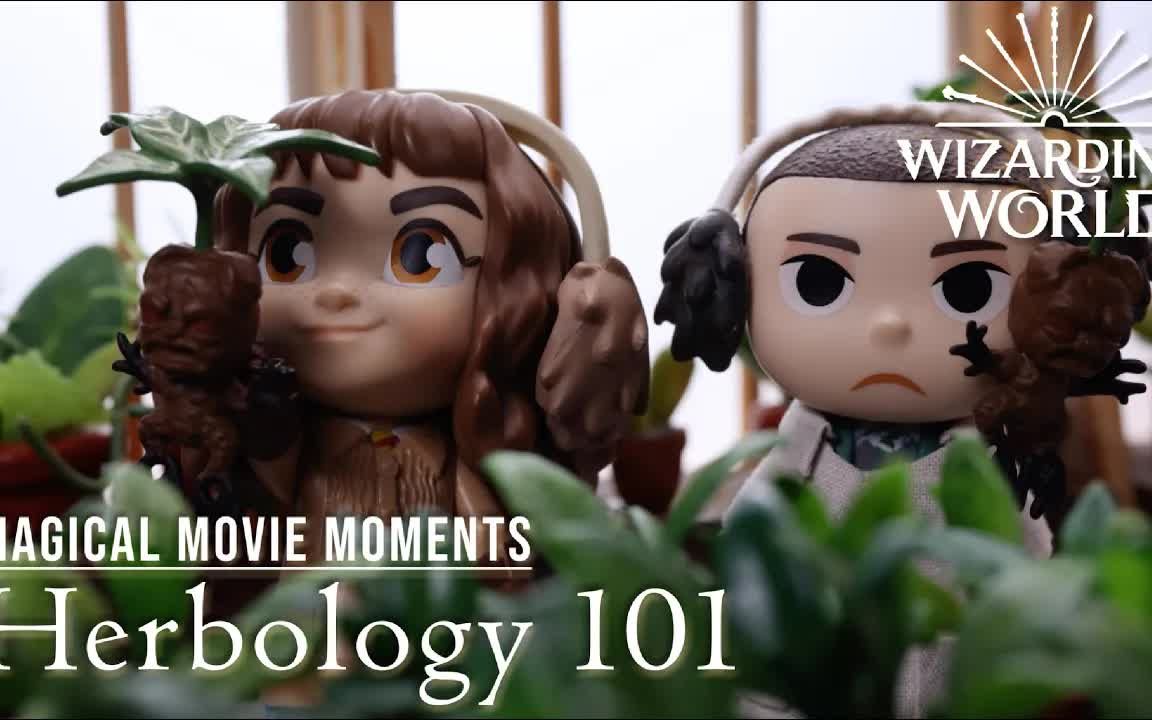herbology 101 magical movie moments in real life