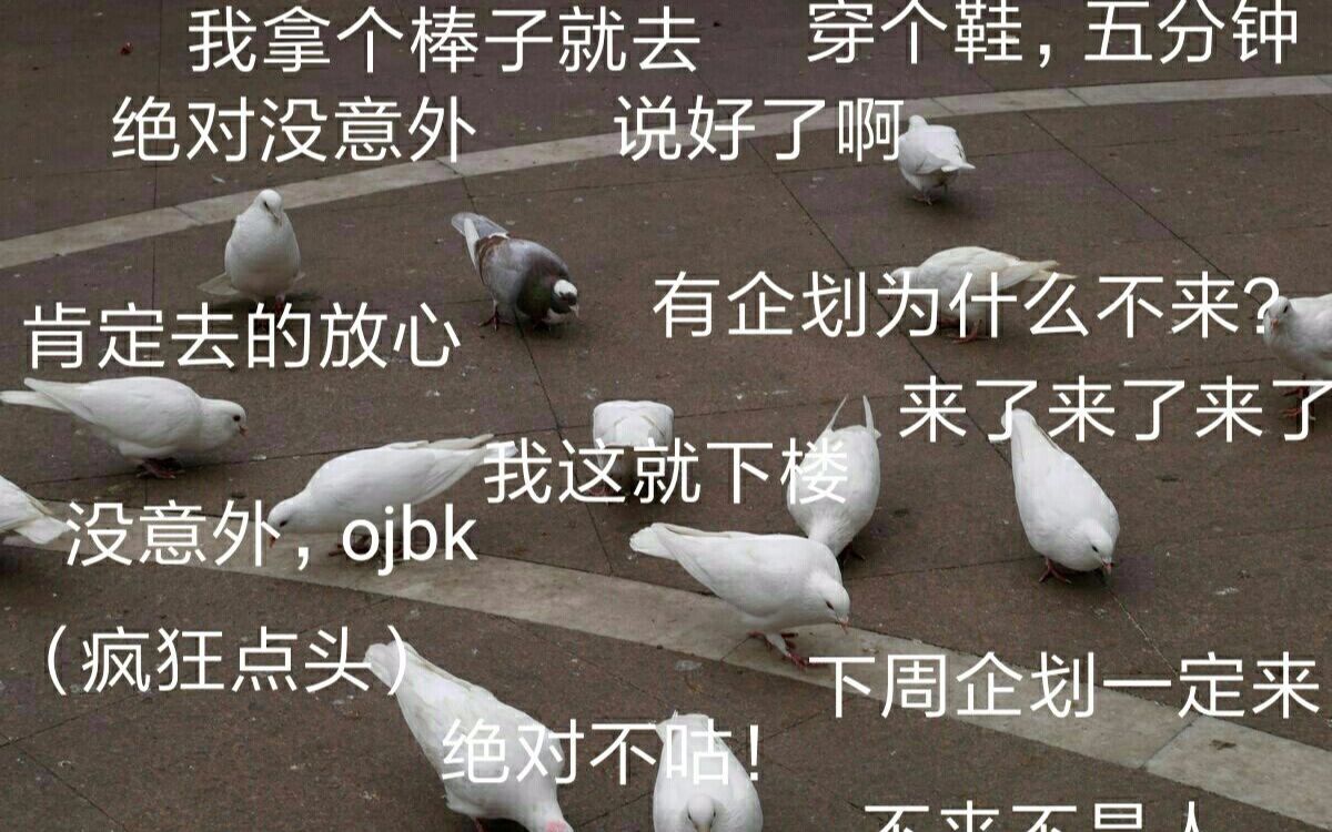 [图]【wota艺】因为暴雨差点咕掉，被雨暴打后的雨后闲打（三月初心初投稿）