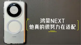 Descargar video: 万万没有想到，对鸿蒙next适配最积极的厂家居然是他！