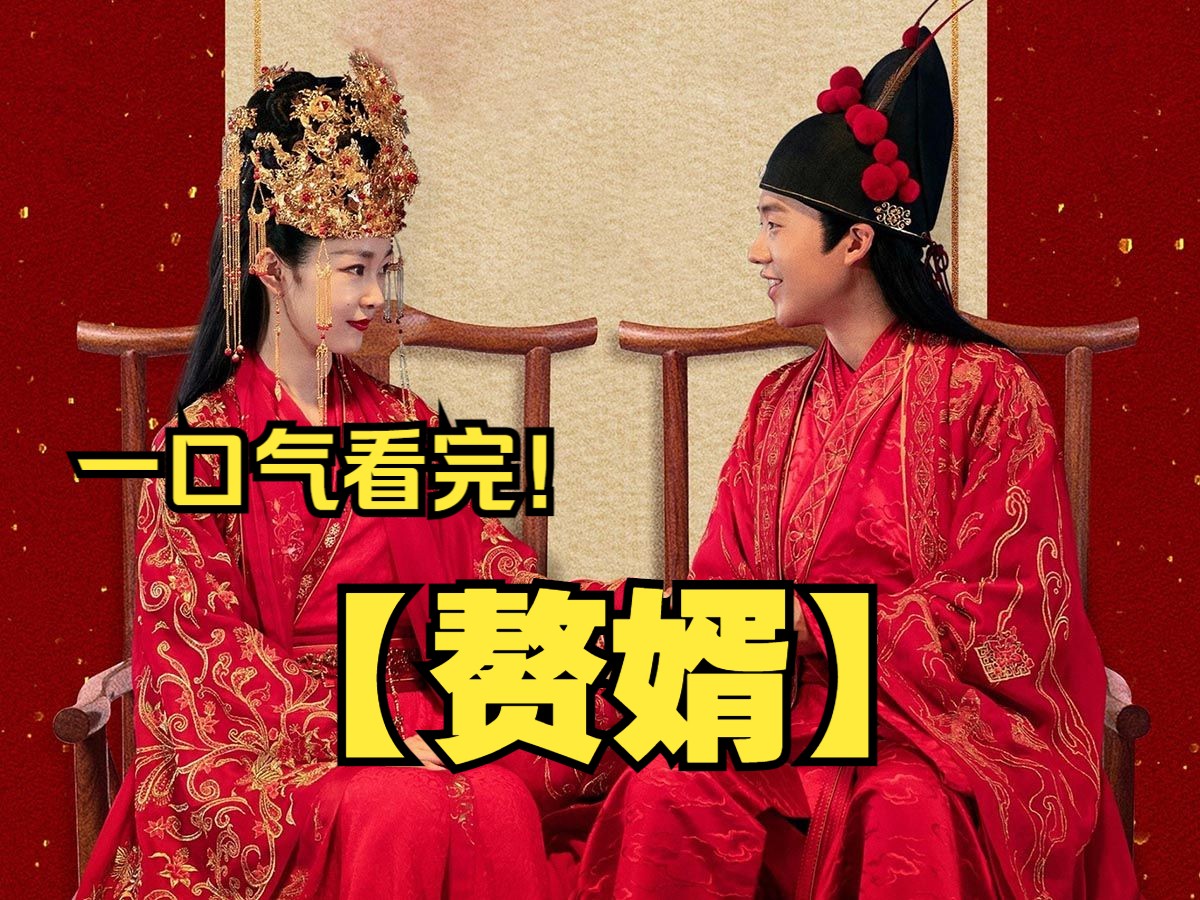 一口气看完【赘婿】,郭麒麟穿越武朝,爆笑玩转商界,成就首富传奇!