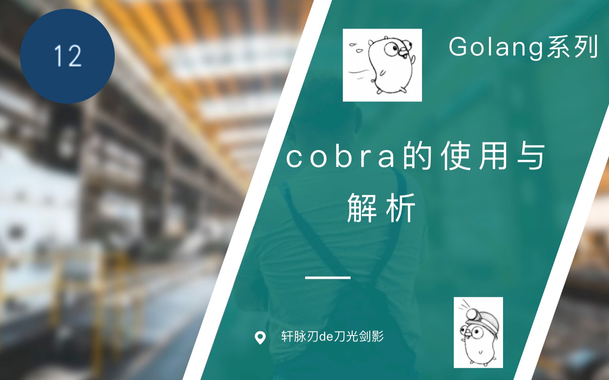 【分享】cobra的使用与解析  轩脉刃de刀光剑影哔哩哔哩bilibili