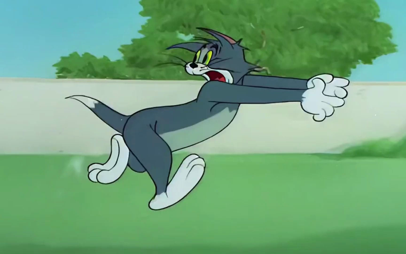 "每日一遍,防止抑郁"烦了累了就来看集猫和老鼠#猫和老鼠 #治愈系