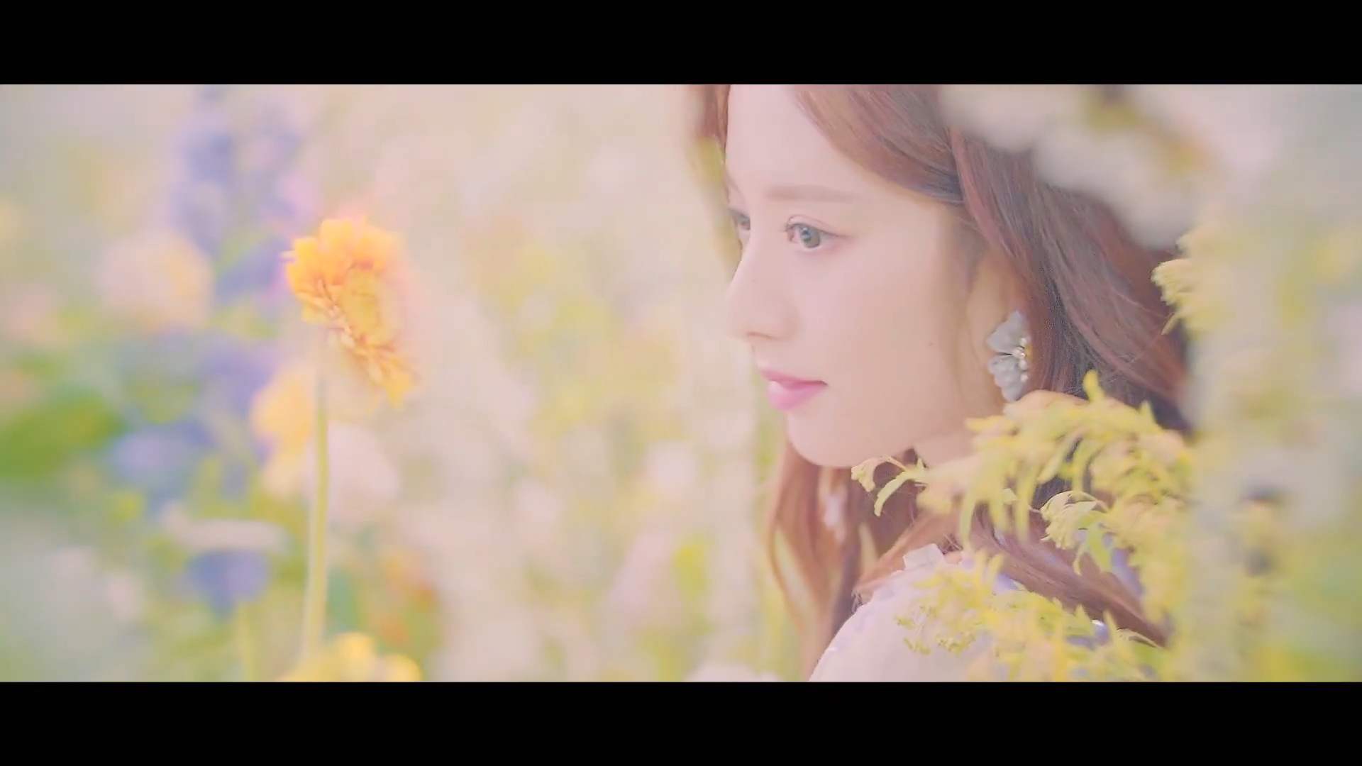 宇宙少女neverlandsecretfilm