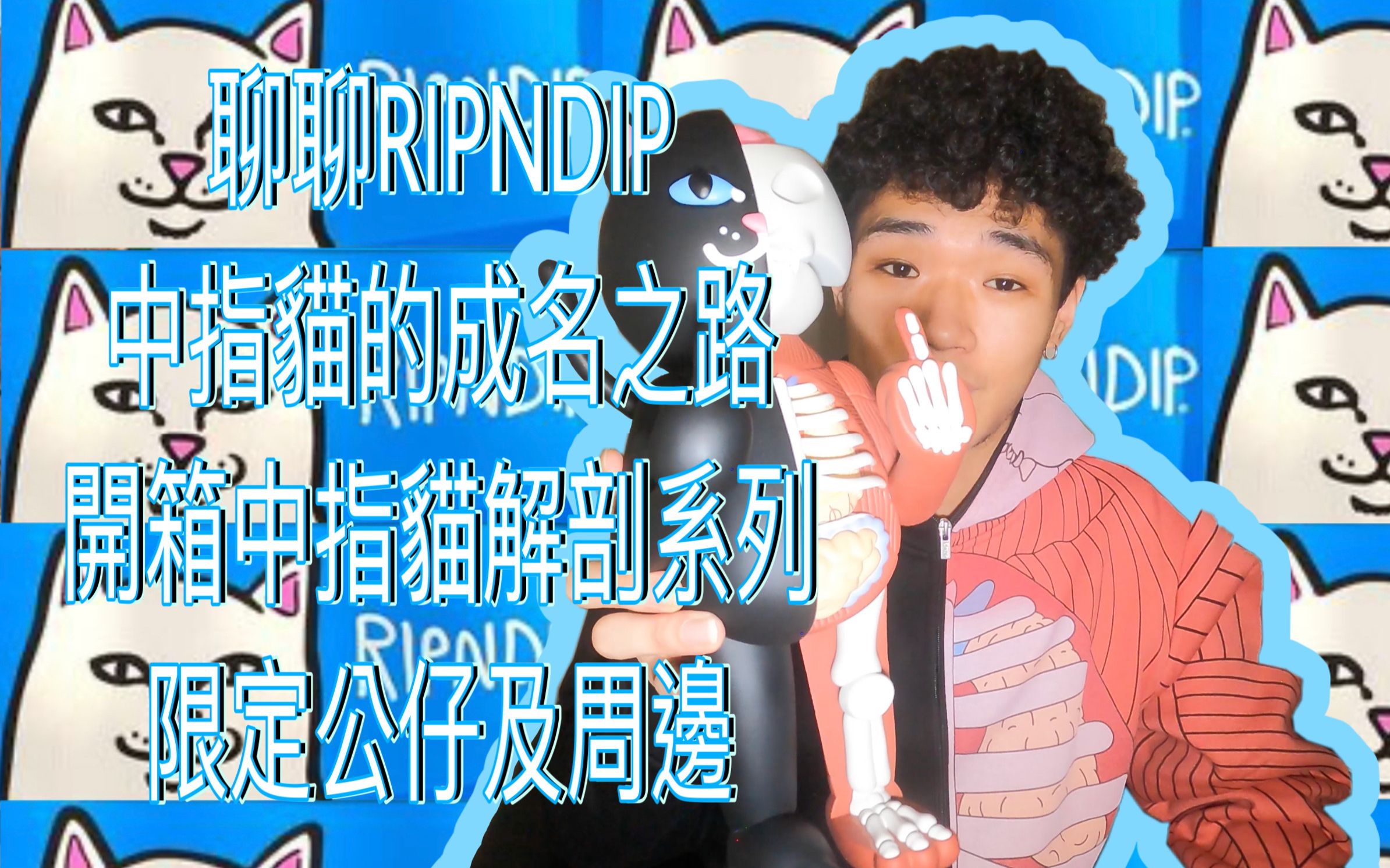 【浮潮ⷥ𜀧€‘聊聊RIPNDIP中指猫/贱猫的成名之路 年末开箱中指猫解剖系列限定手办及周边哔哩哔哩bilibili