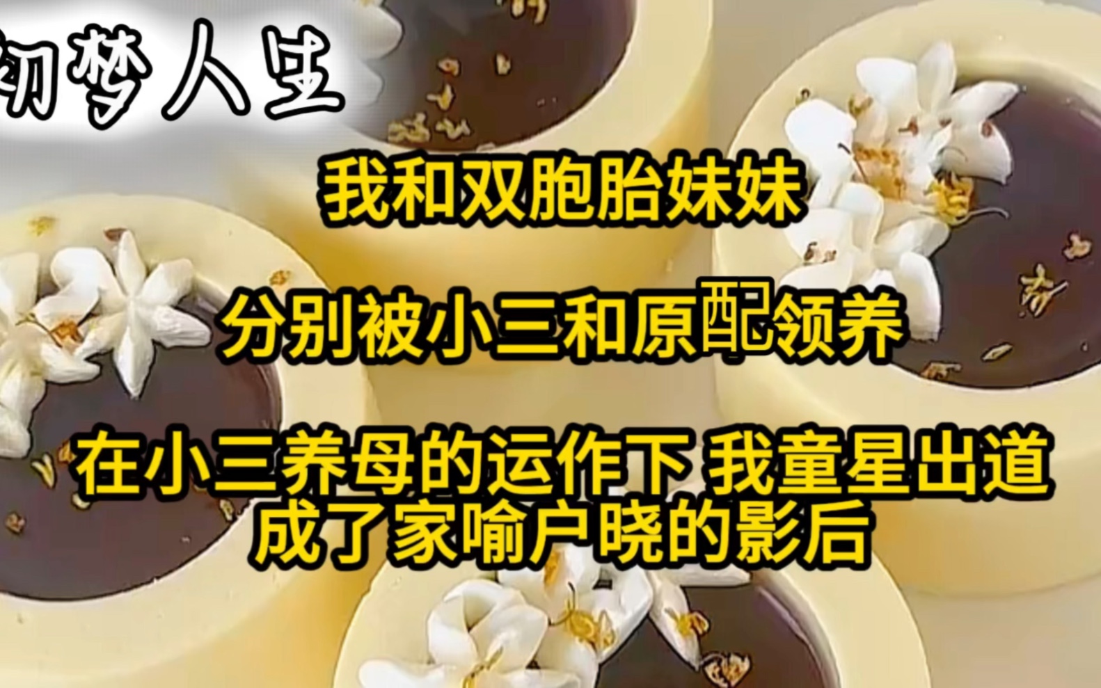 我和双胞胎妹妹分别被小三和原配领养,在小三养母的运作下 我童星出道,成了家喻户晓的影后哔哩哔哩bilibili