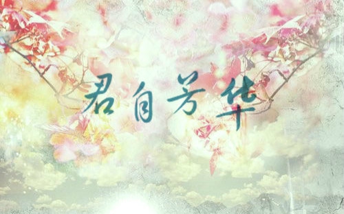 【马天宇】【王元芳】【角色个人向】君自芳华哔哩哔哩bilibili