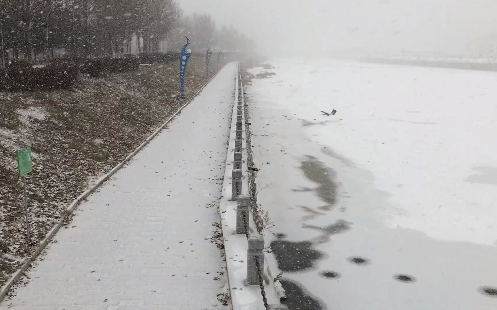 [图]实拍东北小兴安岭，半小时大雪惊心动魄，把山都下没了