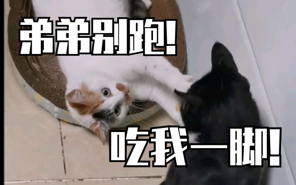 活动作品你以为的岁月静好其实是打打闹闹