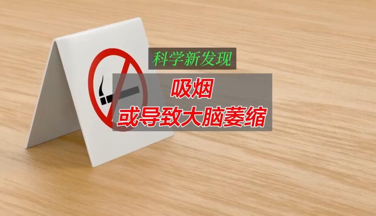 [图]研究表明吸烟或导致大脑萎缩