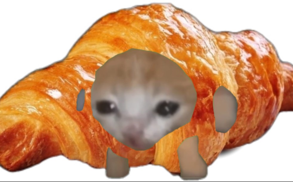 不是可颂猫是小面包猫