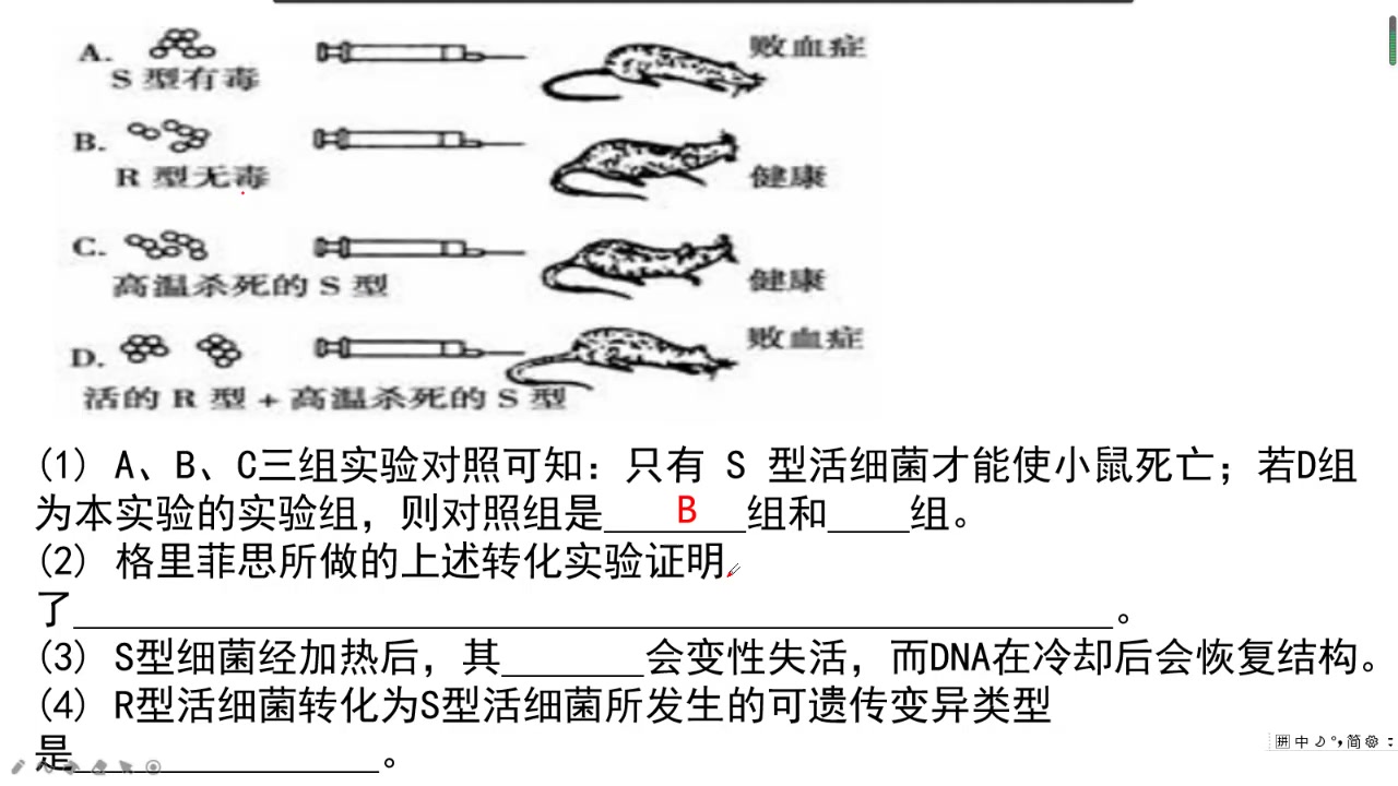 等级考生物期末复习——遗传学经典实验及计算哔哩哔哩bilibili