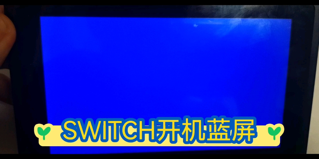 任天堂switch开机蓝屏,搞定哔哩哔哩bilibili