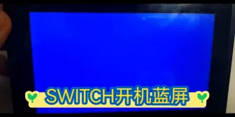 Download Video: 任天堂switch开机蓝屏，搞定