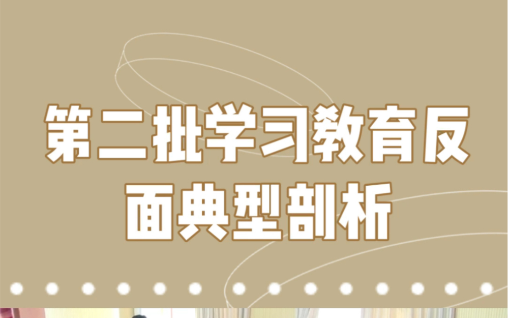 第二批主题教育反面典型案例剖析哔哩哔哩bilibili