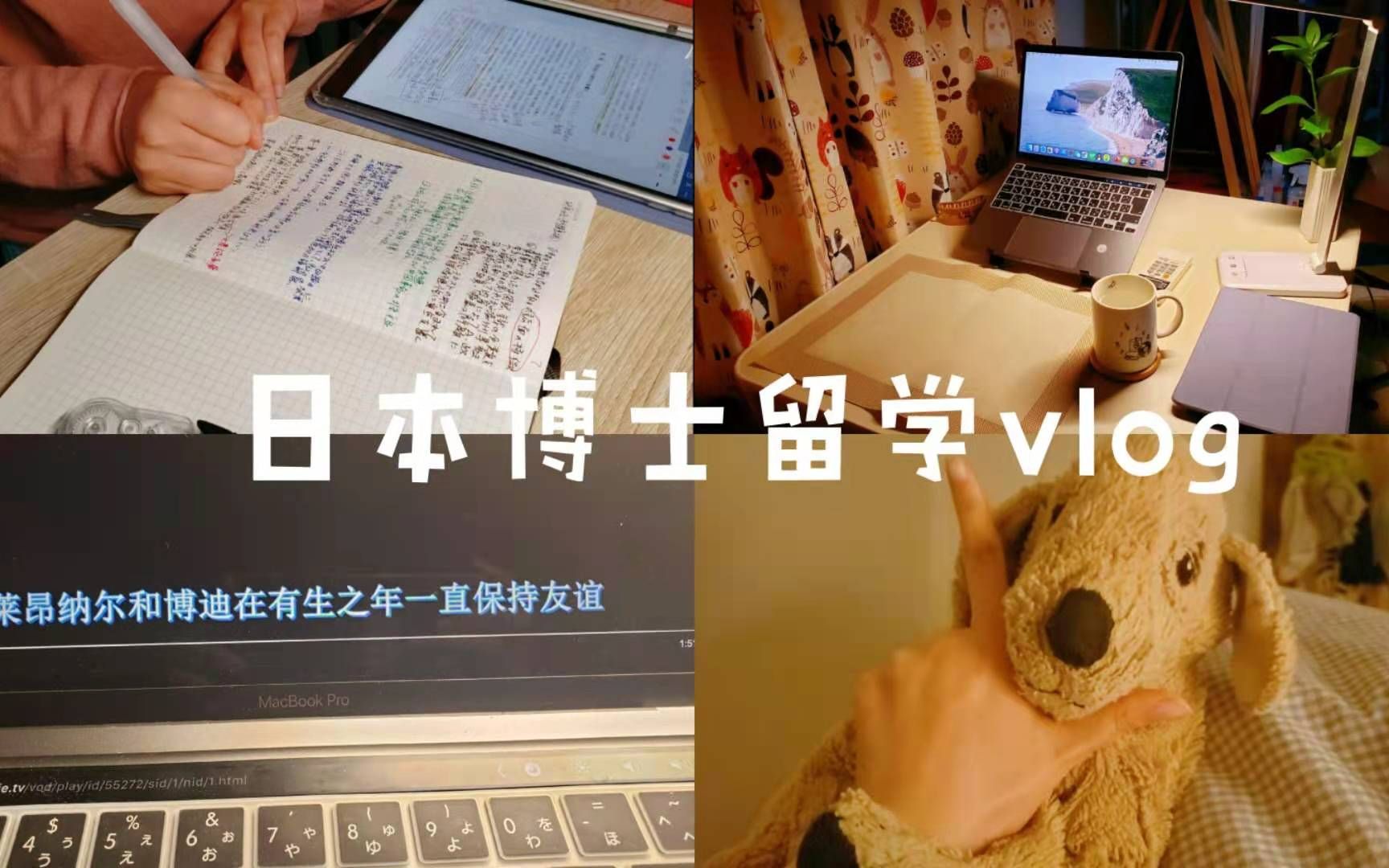 博士留学vlog/日本博士学姐/读文献/做笔记/和朋友在家的下午茶/做饭/普通但是小确幸的每一天哔哩哔哩bilibili