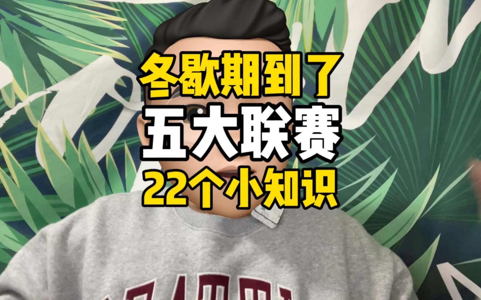 冬歇期到了,近半个赛季,你需要知道的22个五大联赛小知识哔哩哔哩bilibili