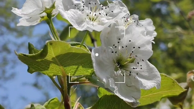 [图]与花诉说春天的故事！