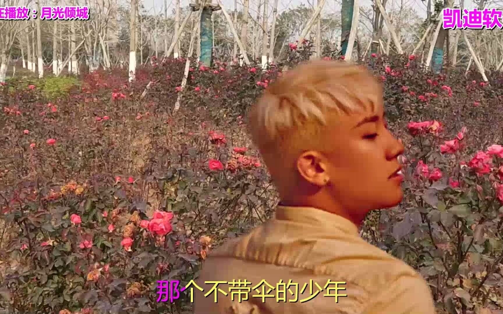 [图]经典老歌《月光倾城》词曲入心扉，听哭多少人