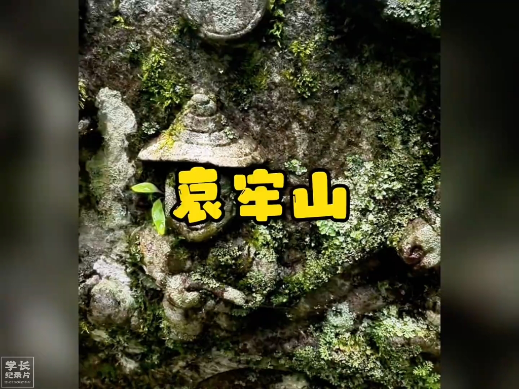 大型纪录片《哀牢山》持续为您播出!哔哩哔哩bilibili