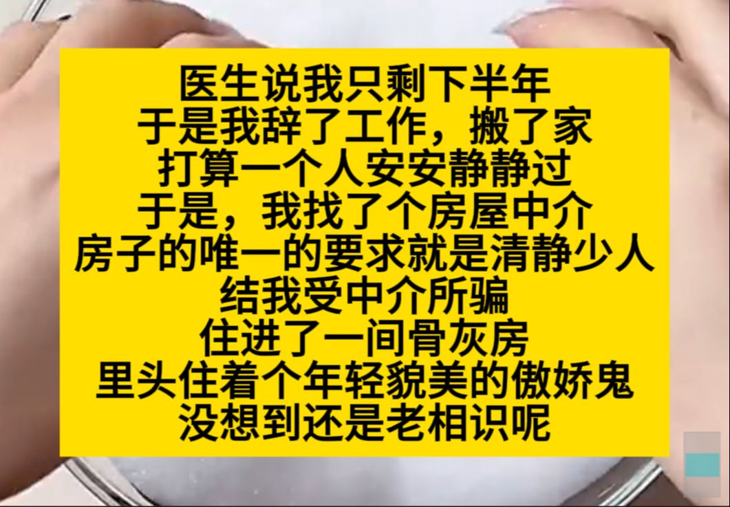 医生说我只剩下半年的命,我打算找个安静的地方去世,结果被中介骗了,住进了骨灰房……小说推荐哔哩哔哩bilibili